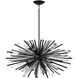 Palisades Ave. 10 Light 39 inch Black Chandelier Ceiling Light