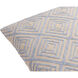 Meghan 22 X 22 inch Tan / Slate Accent Pillow