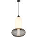 Ace LED 8.7 inch Black Pendant Ceiling Light