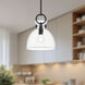 Alora Mood Waldo Pendant Ceiling Light in Matte Black, Clear Glass