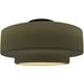 Radiance LED 16.5 inch Matte Green and Matte Black Semi Flush Ceiling Light
