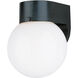 Outdoor Wall 1 Light 7.25 inch Black Outdoor Wall Lantern