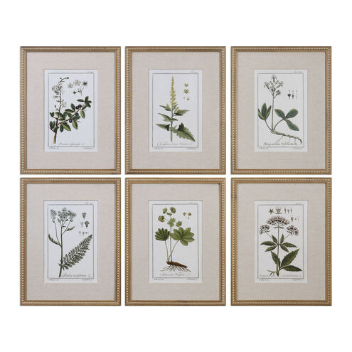 Green Floral Botanical Study 23 X 18 inch Art Prints