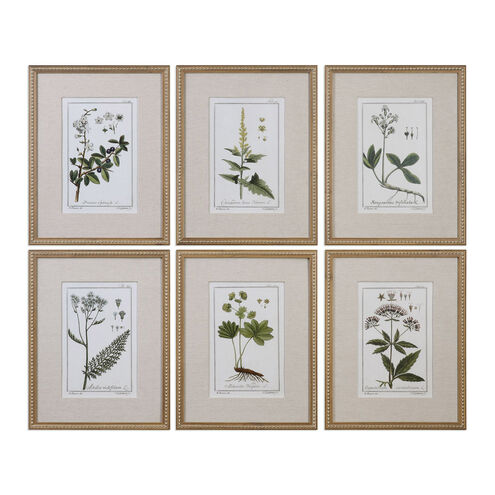 Green Floral Botanical Study 22.63 X 17.63 inch Art Prints