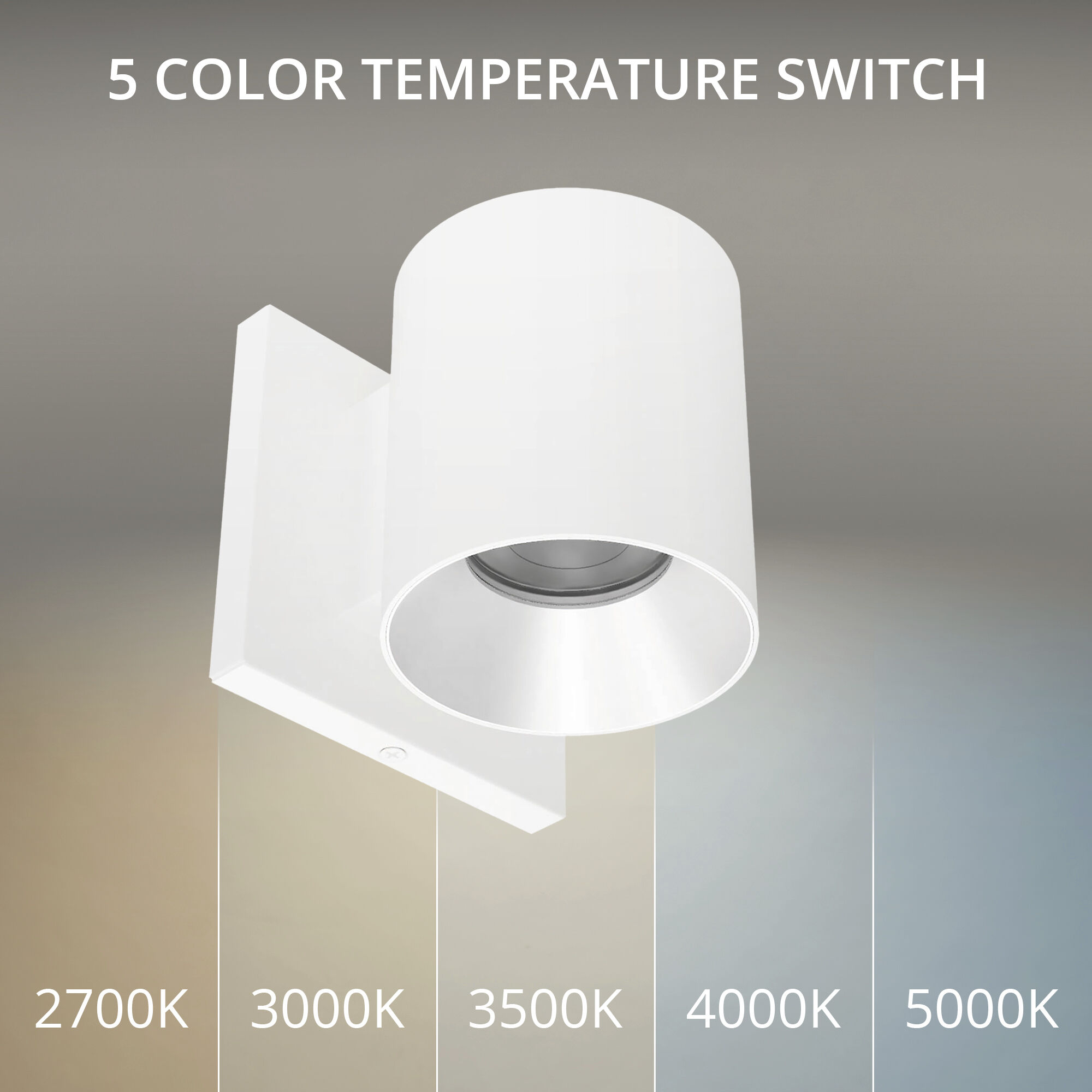 Zoron LED 4.25 inch White and Haze Outdoor Wall Lighting in White/Haze