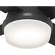 Dempsey 44 inch Matte Black with Matte Black/Dark Gray Oak Blades Ceiling Fan