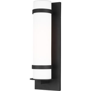 Alban 1 Light 24.63 inch Black Outdoor Wall Lantern, Large