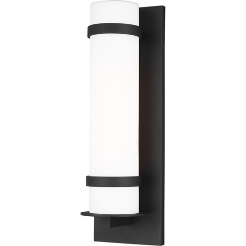 Alban 1 Light 8.00 inch Outdoor Wall Light