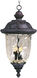 Carriage House DC 3 Light 14 inch Oriental Bronze Outdoor Hanging Lantern