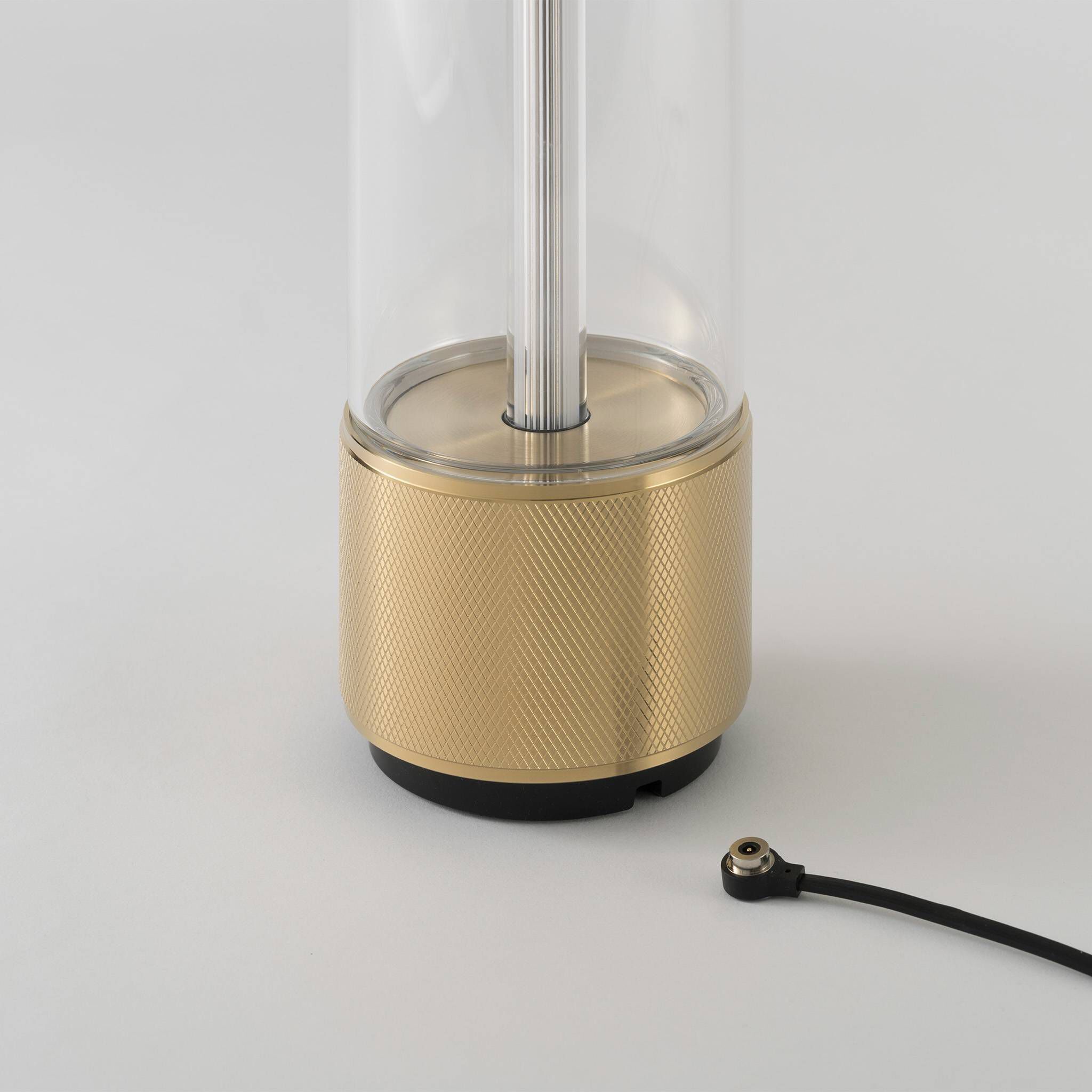 Takeout 8.66 inch 7 watt Brass Portable Light