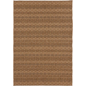 Elements 40 X 26 inch Neutral and Brown Outdoor Area Rug, Olefin