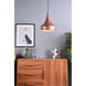 Circa 1 Light 11.5 inch Honey Gold Pendant Ceiling Light