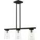Cityview 3 Light 30 inch Black with Brushed Nickel Accents Linear Chandelier Ceiling Light