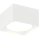 Caravon LED 5.5 inch White Flush Mount Ceiling Light