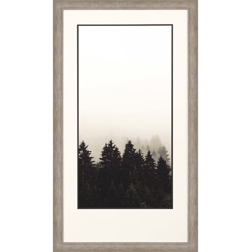 Photography Collection Neutral Framed Art