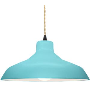 Radiance LED 15.5 inch Reflecting Pool and Matte Black Pendant Ceiling Light