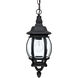 Kelsi 1 Light 7 inch Black Outdoor Hanging Lantern