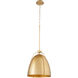 Jamie 1 Light 14.50 inch Pendant