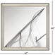 Absolute Bearing Beige and Brown and Neutral and Sepia Framed Art