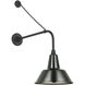 Thomas O'Brien Academy Barn Light LED 32.5 inch Matte Black Anchored Rex Barn Light in 12.5" Green Bowers Shade