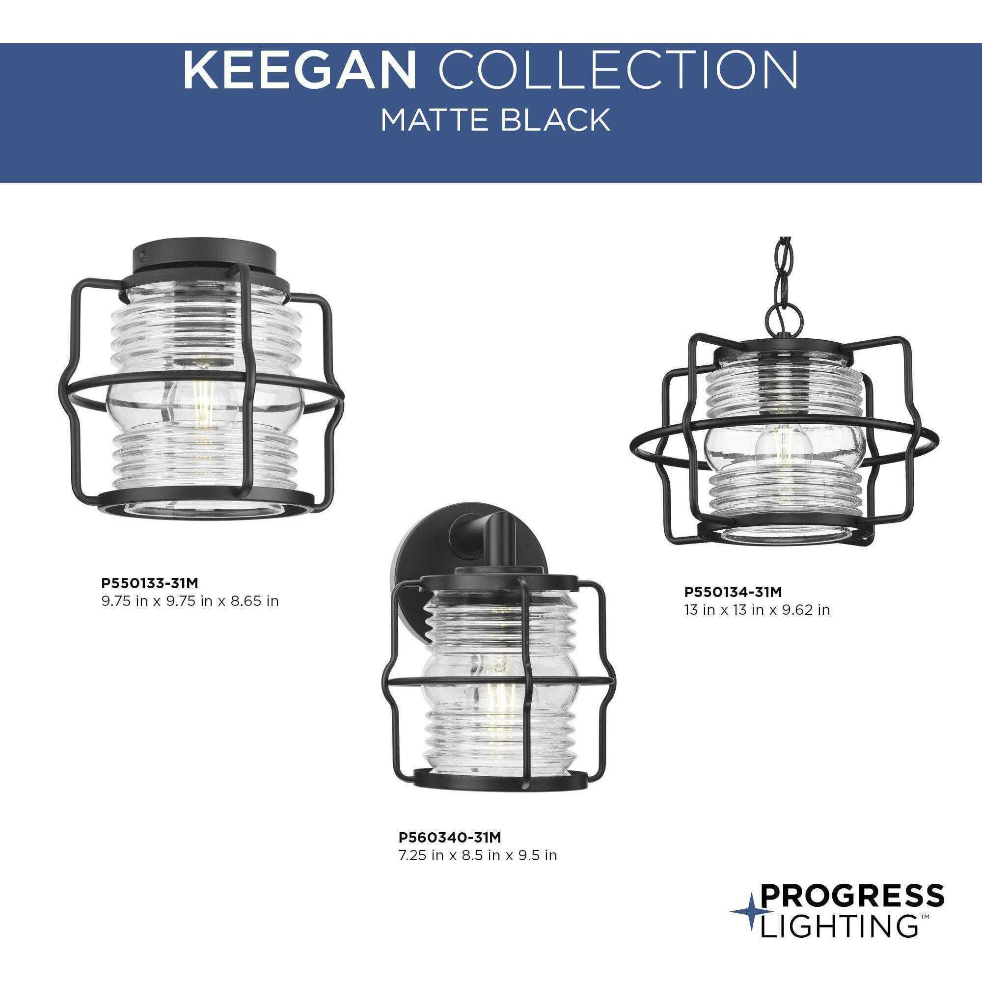Keegan 1 Light 13 inch Matte Black Outdoor Hanging Lantern