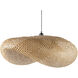 Montez 1 Light 39.25 inch Black Pendant Ceiling Light