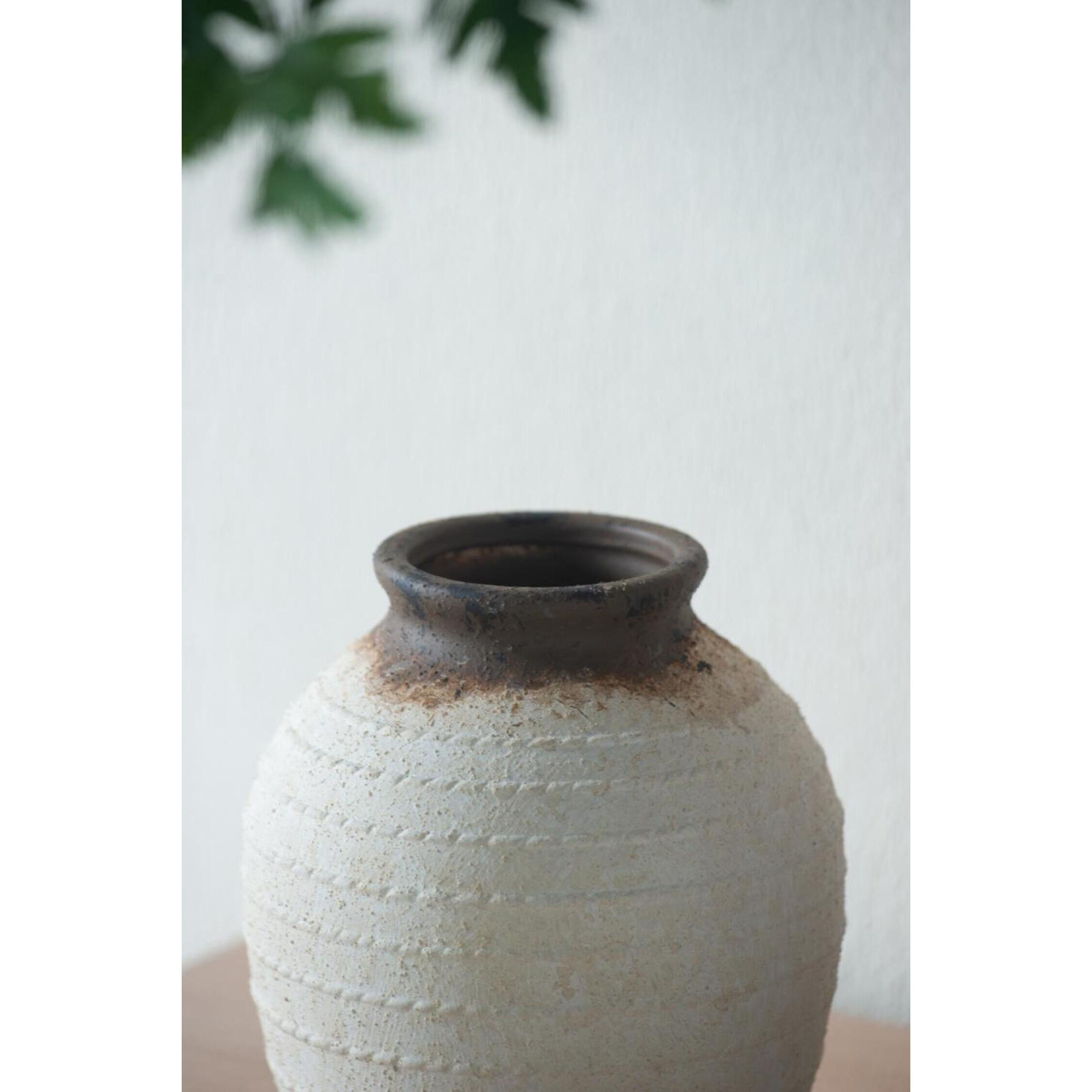 Anita 8 X 5 inch Canister