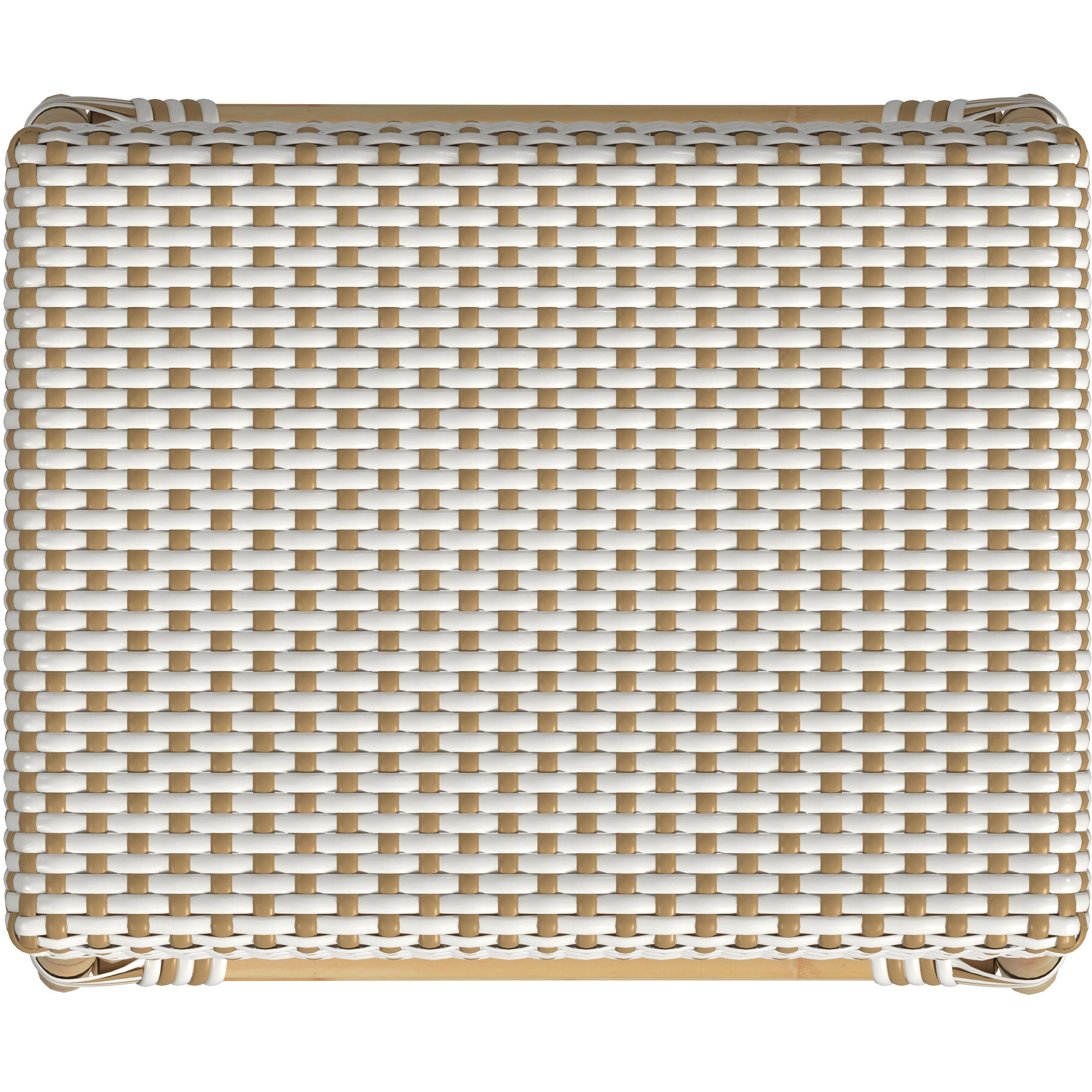 Robias Rectangular Rattan 24.5" Counter Stool in White and Tan Dot