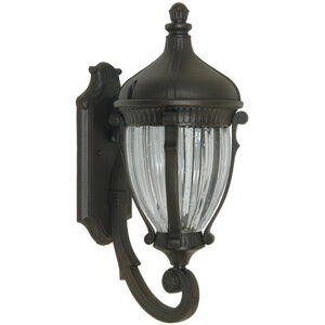 Anapolis 1 Light 22 inch Oil Rubbed Bronze Outdoor Wall Light, Small