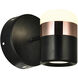 Moxie LED 5 inch Black Wall Light