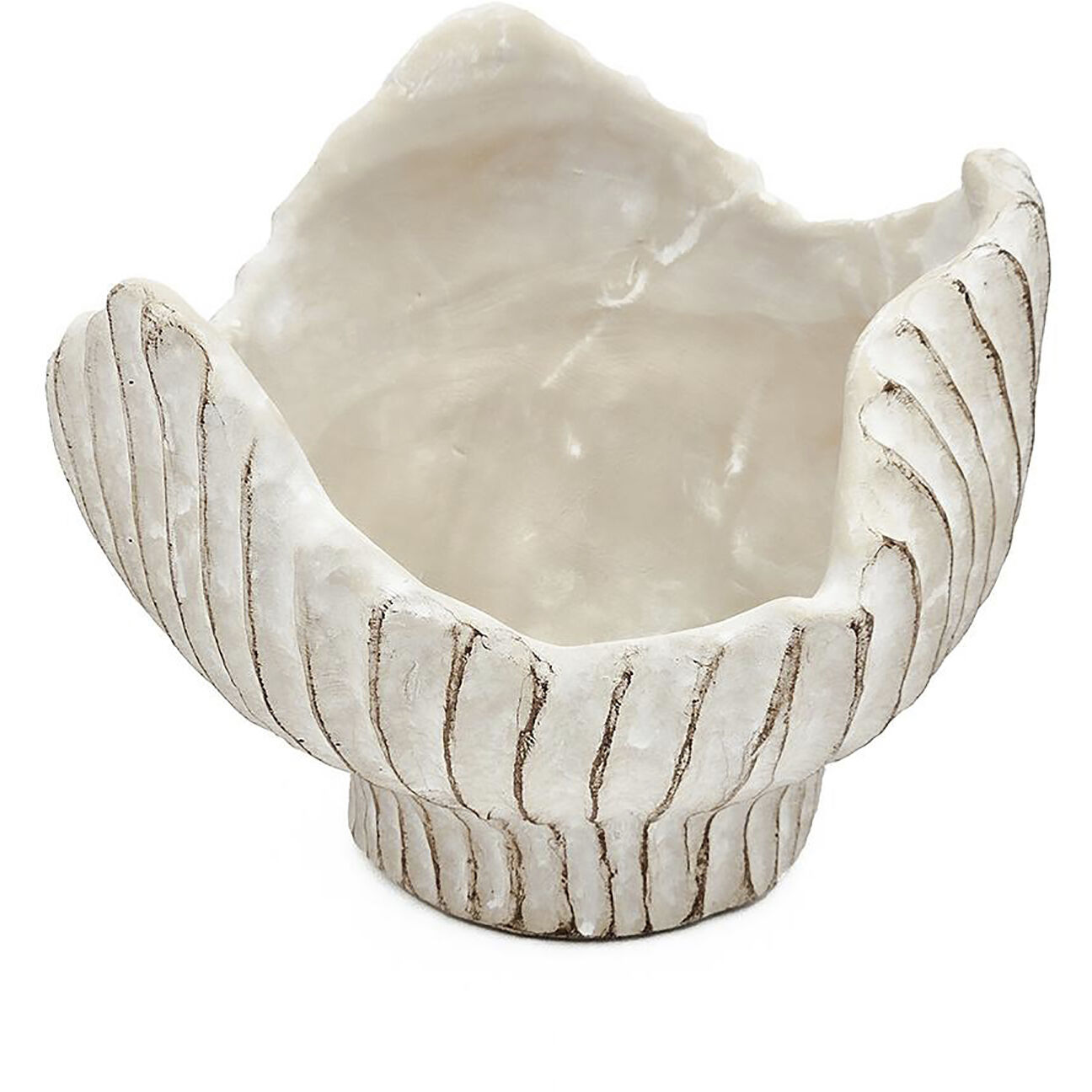 Clam Shell Beige Planter