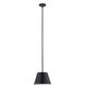 Lilly 1 Light 12 inch Matte Black Pendant Ceiling Light
