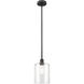 Paladin 1 Light 7.13 inch Matte Black Mini Pendant Ceiling Light