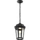 East River LED 8.25 inch Matte Black Outdoor Hanging Fixture