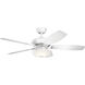Canfield Pro 52 inch Matte White Ceiling Fan