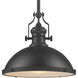 Chadwick Pendant Ceiling Light in Matte Black