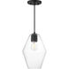 Geode 1 Light 8.7 inch Black Mini Pendant Ceiling Light