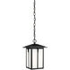 Tomek 1 Light 8.38 inch Black Outdoor Pendant