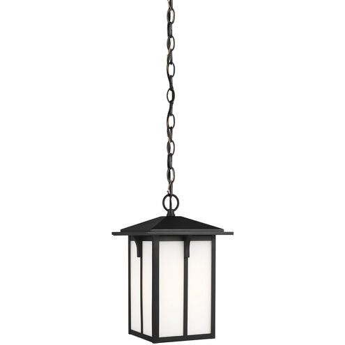 Tomek 1 Light 8.38 inch Black Outdoor Pendant