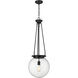 Beacon 1 Light 14 inch Matte Black Pendant Ceiling Light