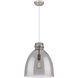 Newton Bell 1 Light 14 inch Satin Nickel Pendant Ceiling Light in Plated Smoke Glass