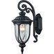 Derry Hill 1 Light 17 inch Matte Black Outdoor Sconce