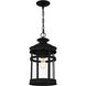 Scout 1 Light 10 inch Matte Black Mini Pendant Ceiling Light, Small