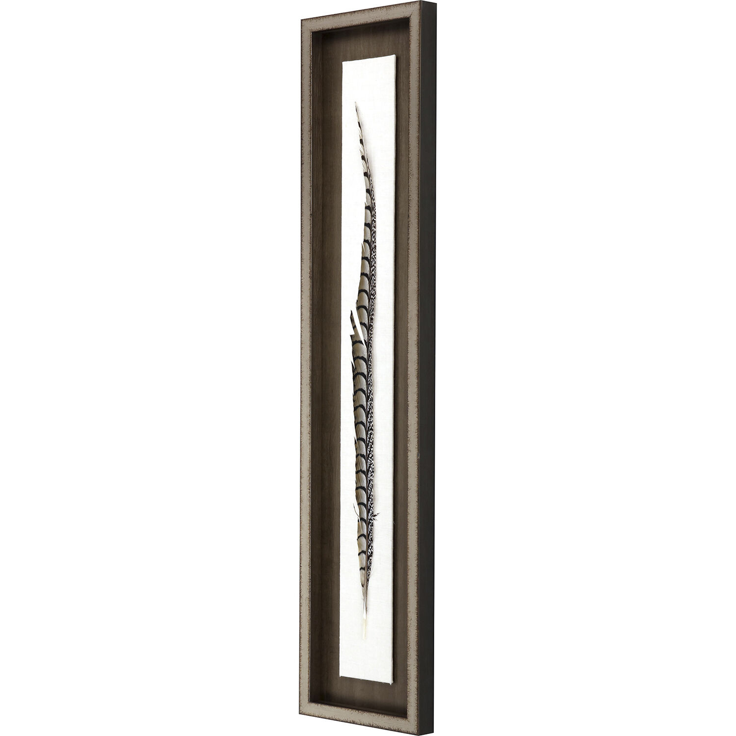 Lady Amhurst Feather Pheasant Feather Brown and Beige and Black and Neutral Framed Art