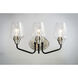Goblet 3 Light 18 inch Black/Satin Nickel Bath Vanity Wall Light in Black and Satin Nickel