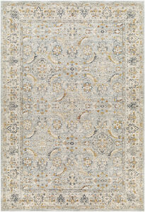 Beckham 35 X 24 inch Rug in 2 x 3, Rectangle