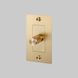 1G 100-120 Brass Dimmer Switch, LED