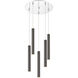 Forest LED 13.5 inch Chrome Chandelier Ceiling Light in Pearl Black Steel, 14