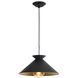 Viggo 1 Light 16 inch Black Pendant Ceiling Light, Small