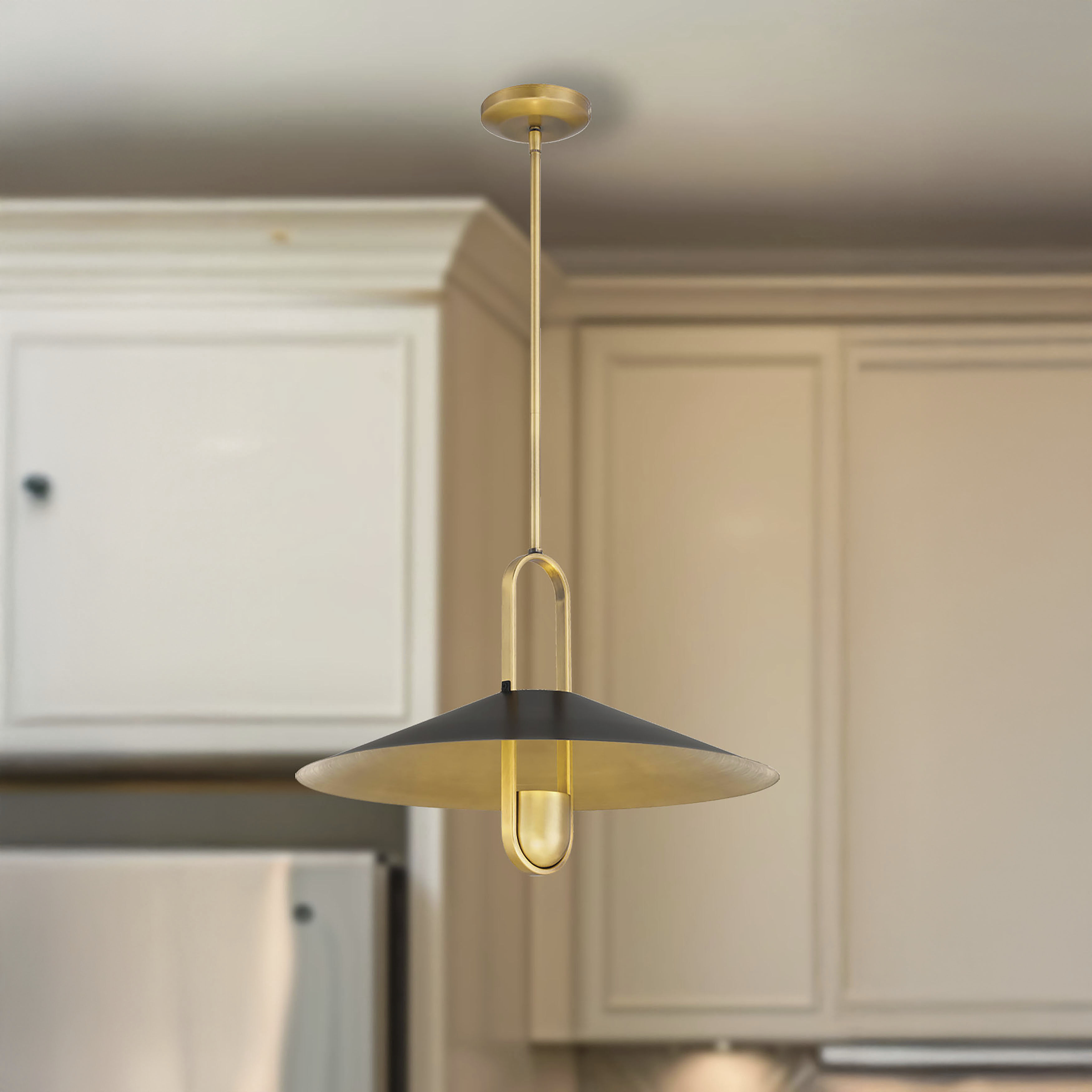 Goldenridge 1 Light 20 inch Legacy Brass and Dark Matte Black Pendant Ceiling Light